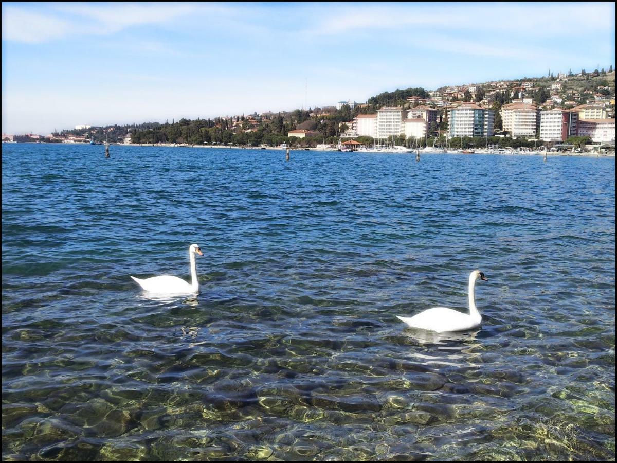 Casa Vacanze Enjoy Pirano Luaran gambar